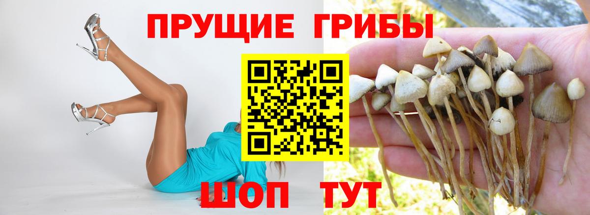 Псилоцибиновые грибы прущие грибы  Псилоцибиновые грибы MAGIC MUSHROOMS  Вход с VPN  Кингисепп 
